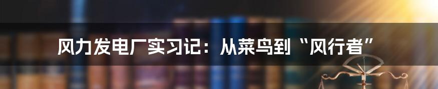 风力发电厂实习记：从菜鸟到“风行者”