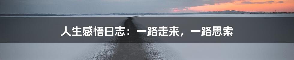 人生感悟日志：一路走来，一路思索