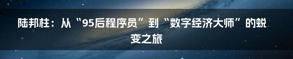 陆邦柱：从“95后程序员”到“数字经济大师”的蜕变之旅