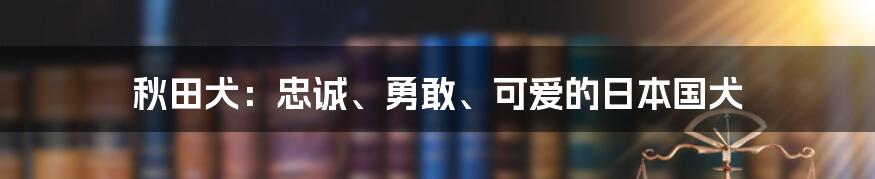 秋田犬：忠诚、勇敢、可爱的日本国犬