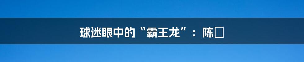 球迷眼中的“霸王龙”：陈玘