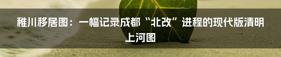 稚川移居图：一幅记录成都“北改”进程的现代版清明上河图