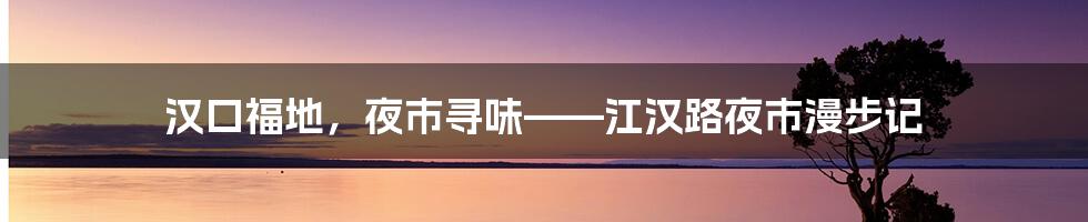 汉口福地，夜市寻味——江汉路夜市漫步记