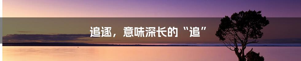 追逐，意味深长的“追”