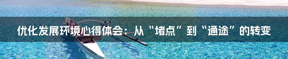 优化发展环境心得体会：从“堵点”到“通途”的转变