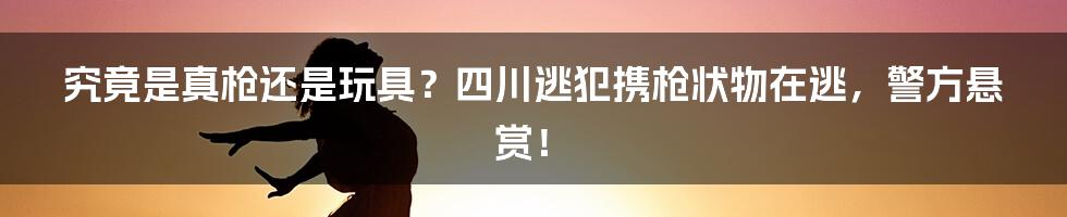 究竟是真枪还是玩具？四川逃犯携枪状物在逃，警方悬赏！