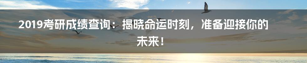 2019考研成绩查询：揭晓命运时刻，准备迎接你的未来！