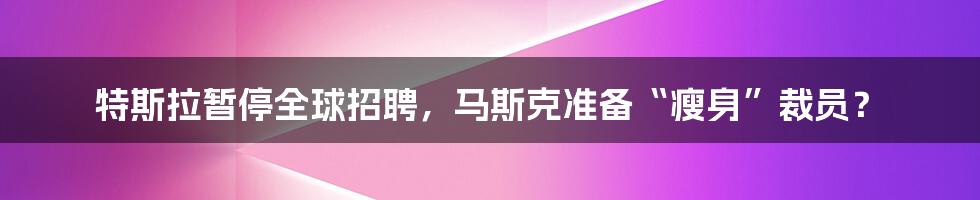 特斯拉暂停全球招聘，马斯克准备“瘦身”裁员？