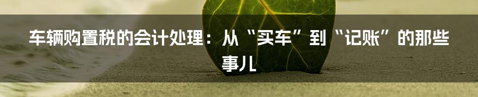 车辆购置税的会计处理：从“买车”到“记账”的那些事儿