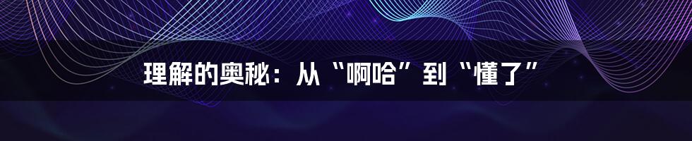 理解的奥秘：从“啊哈”到“懂了”