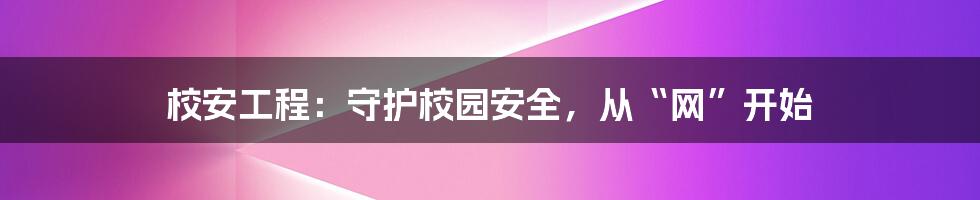 校安工程：守护校园安全，从“网”开始