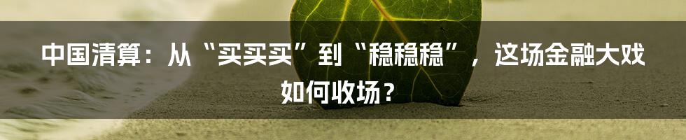 中国清算：从“买买买”到“稳稳稳”，这场金融大戏如何收场？