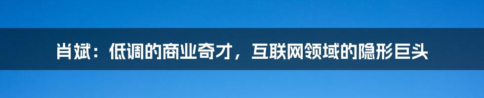 肖斌：低调的商业奇才，互联网领域的隐形巨头