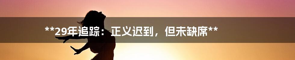 **29年追踪：正义迟到，但未缺席**