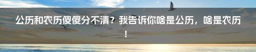 公历和农历傻傻分不清？我告诉你啥是公历，啥是农历！