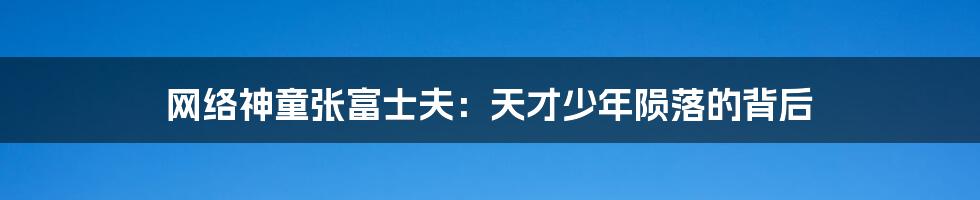 网络神童张富士夫：天才少年陨落的背后