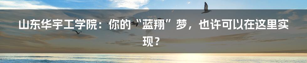 山东华宇工学院：你的“蓝翔”梦，也许可以在这里实现？