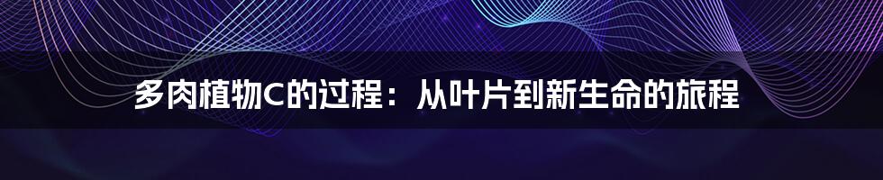 多肉植物C的过程：从叶片到新生命的旅程