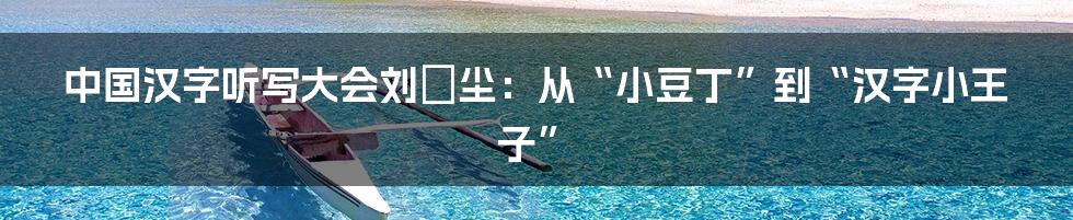 中国汉字听写大会刘浥尘：从“小豆丁”到“汉字小王子”