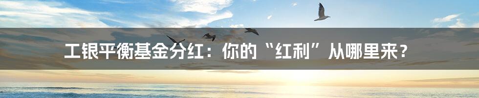 工银平衡基金分红：你的“红利”从哪里来？