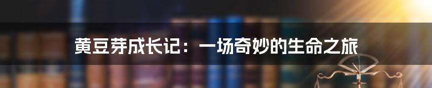 黄豆芽成长记：一场奇妙的生命之旅