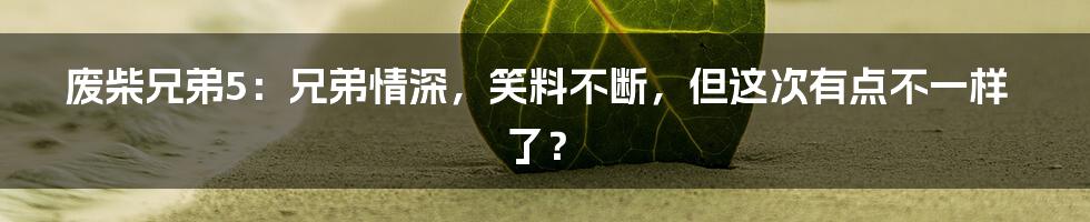 废柴兄弟5：兄弟情深，笑料不断，但这次有点不一样了？