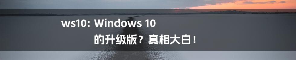 ws10: Windows 10 的升级版？真相大白！