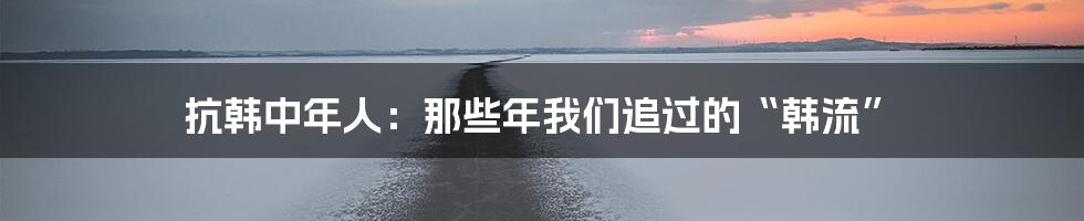 抗韩中年人：那些年我们追过的“韩流”