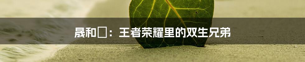 晟和暃：王者荣耀里的双生兄弟