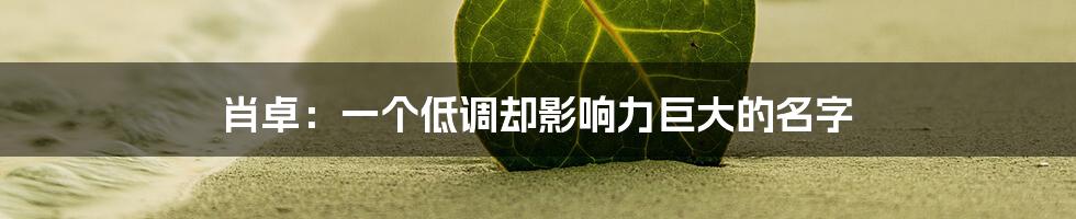 肖卓：一个低调却影响力巨大的名字