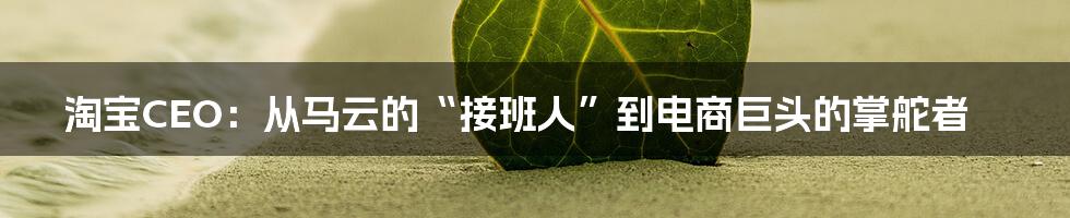 淘宝CEO：从马云的“接班人”到电商巨头的掌舵者