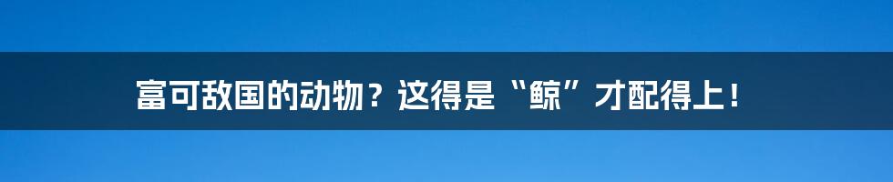 富可敌国的动物？这得是“鲸”才配得上！