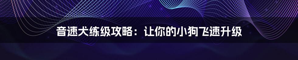 音速犬练级攻略：让你的小狗飞速升级