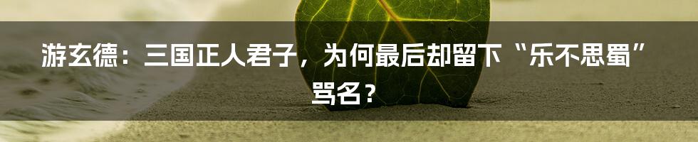 游玄德：三国正人君子，为何最后却留下“乐不思蜀”骂名？