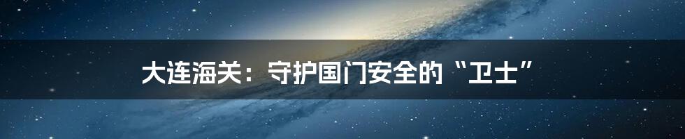 大连海关：守护国门安全的“卫士”