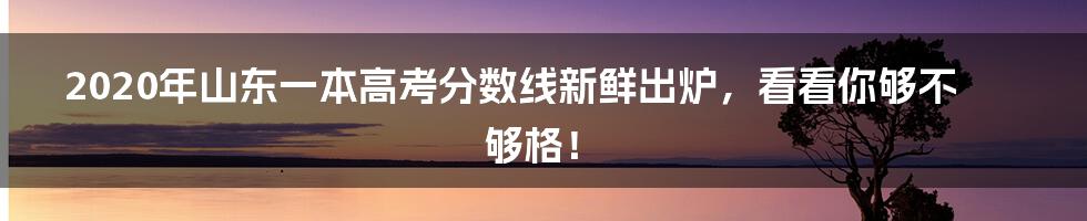 2020年山东一本高考分数线新鲜出炉，看看你够不够格！