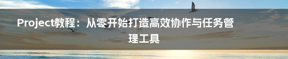 Project教程：从零开始打造高效协作与任务管理工具