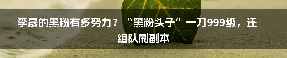 李晟的黑粉有多努力？“黑粉头子”一刀999级，还组队刷副本