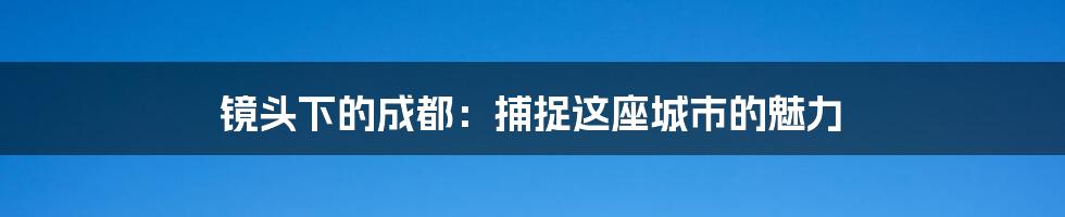 镜头下的成都：捕捉这座城市的魅力