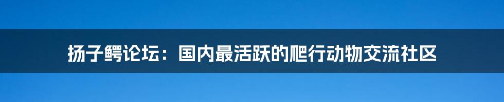 扬子鳄论坛：国内最活跃的爬行动物交流社区