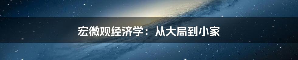 宏微观经济学：从大局到小家