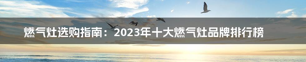 燃气灶选购指南：2023年十大燃气灶品牌排行榜