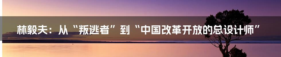 林毅夫：从“叛逃者”到“中国改革开放的总设计师”