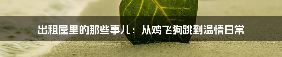 出租屋里的那些事儿：从鸡飞狗跳到温情日常