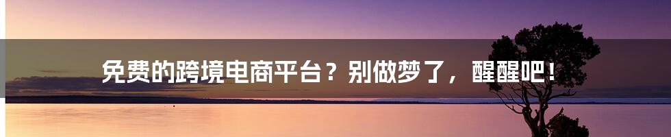 免费的跨境电商平台？别做梦了，醒醒吧！