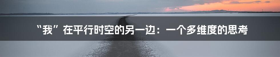 “我”在平行时空的另一边：一个多维度的思考