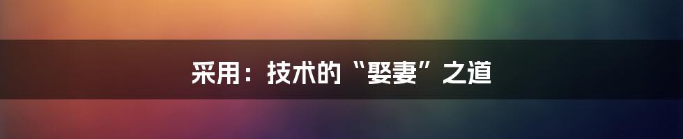 采用：技术的“娶妻”之道