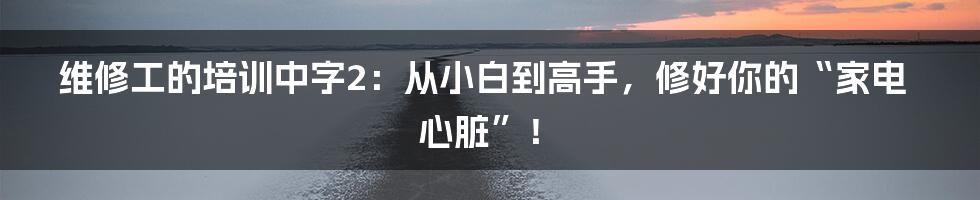 维修工的培训中字2：从小白到高手，修好你的“家电心脏”！