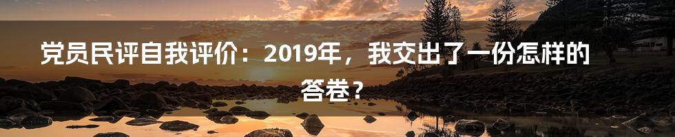 党员民评自我评价：2019年，我交出了一份怎样的答卷？