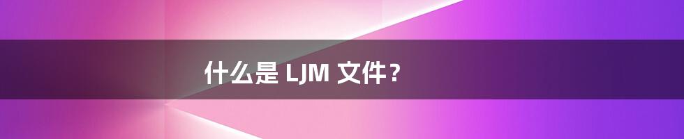 什么是 LJM 文件？